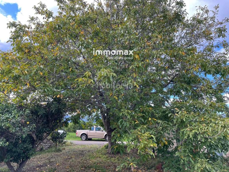 Foto 87642a41-37c7-433c-927f-3441bbfde81f. Terreny residencial a Xerta