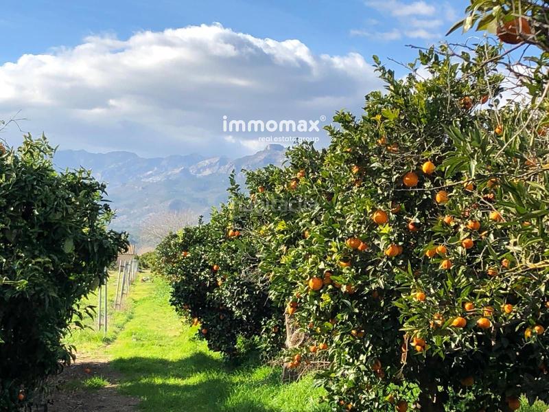 Foto a6c95bc9-309a-420e-966f-3298d61ef6f9. Terreny residencial a Xerta