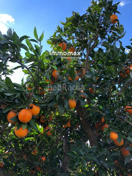 Foto b739feac-88fa-4c03-add7-e0202abbca15. Terreny residencial a Xerta