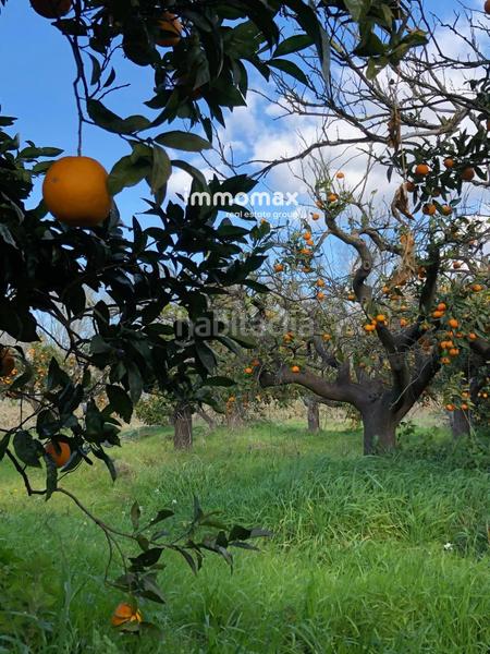 Foto c9d65bb2-03c3-49fd-bc44-f58bbe8a3804. Terreny residencial a Xerta