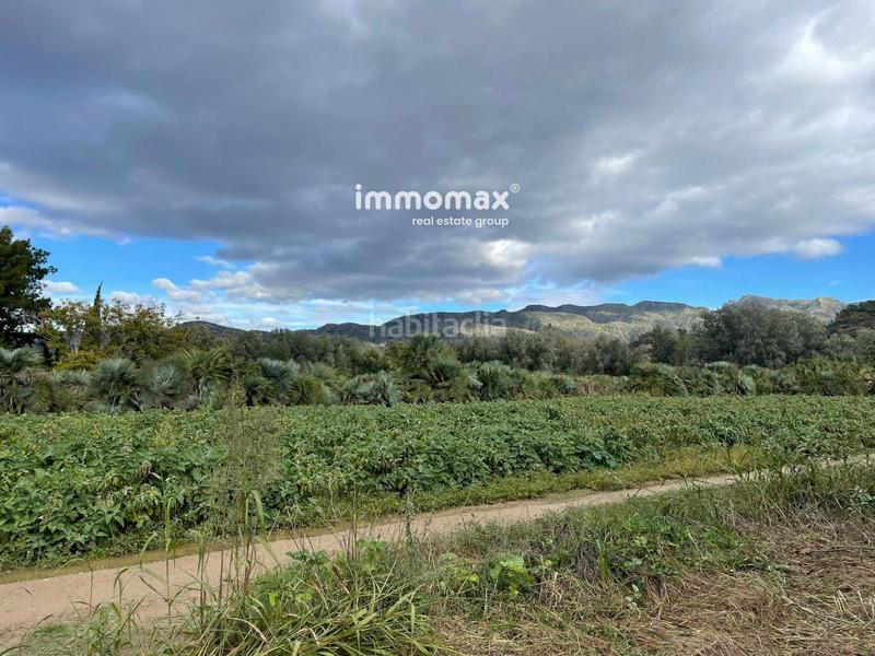 Foto e4ddd379-366b-4f28-b515-f58ab2e0d28f. Terreny residencial a Xerta