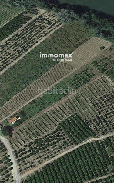 Foto f36757c5-19a7-4474-b198-7730199ceaf8. Terreny residencial a Xerta