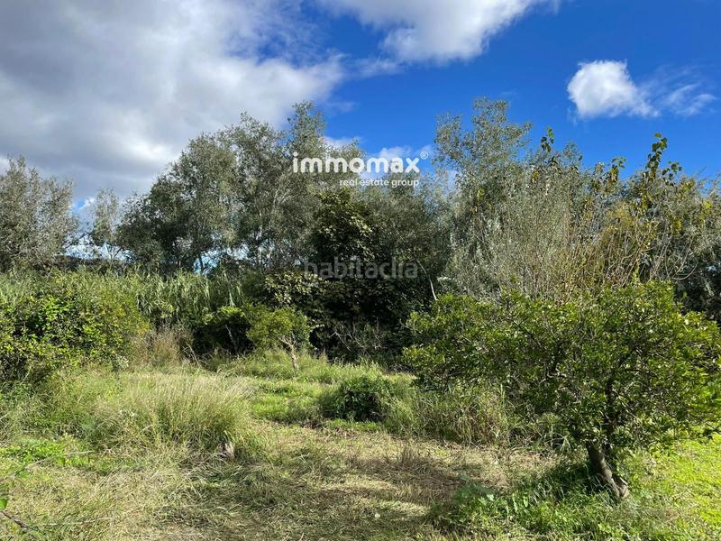 Foto f3b52fbe-869b-43ee-b31c-a990d4b5fdc1. Terreny residencial a Xerta