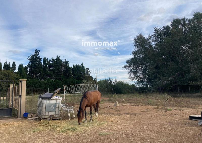 Foto 03941a37-8bc9-419c-a8be-ea7bef6fca2a. Finca rústica a Población de Arroyo