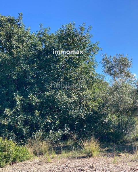 Foto 9ee78c94-4160-4b28-9b2c-f5202f579833. Finca rústica pequeña casa típica en Godall