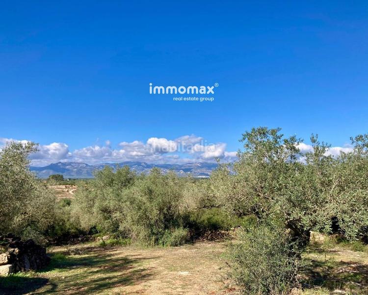 Foto bb0284bf-5f76-4c0b-ad61-89d6252b1454. Finca rústica pequeña casa típica en Godall