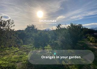 Fondo rustico in Aldover. Casa con naranjos y acceso al río