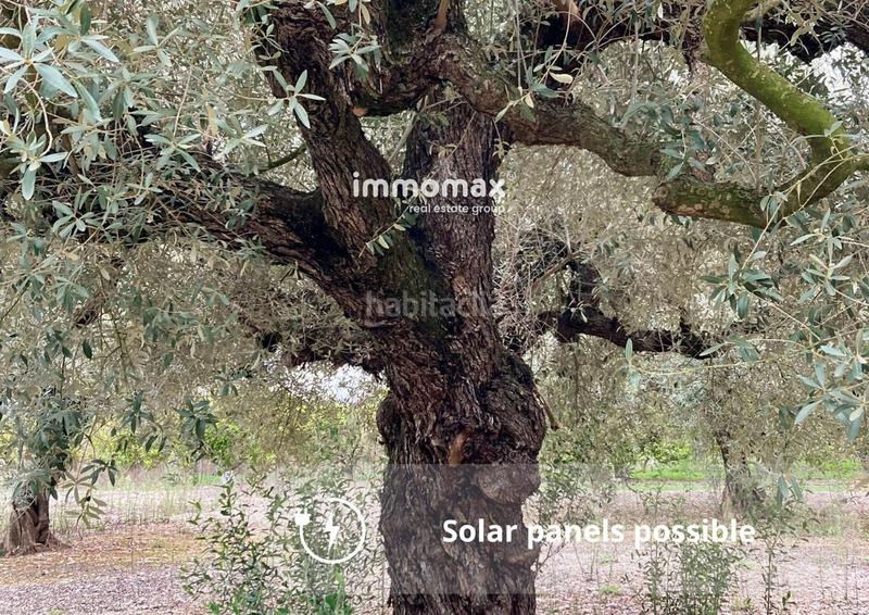 Foto 9fd9498a-bf80-4d89-a88b-cccbfa6fb3ae. Propriété dans Godall