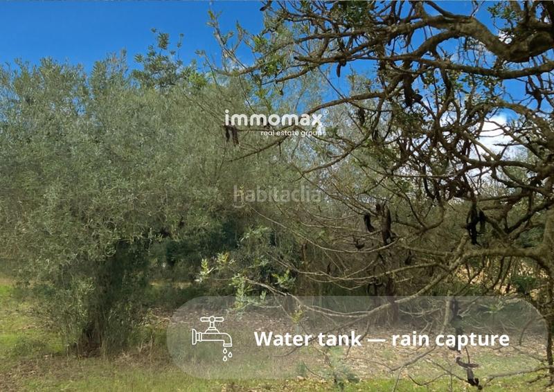 Foto 03b085bb-1e99-41e1-94ed-e7d4ad2a9599. Landgut in Casc Antic Amposta