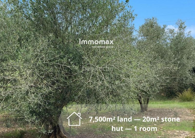 Foto 08f96622-32d0-4666-b47a-cd8b4f268f11. Landgut in Casc Antic Amposta