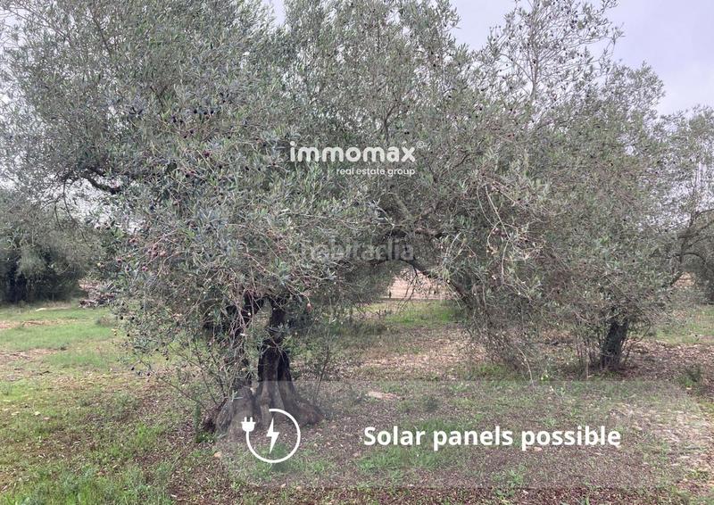 Foto 4e6e3015-7fb5-4d5c-a0a5-de957836fe0b. Landgut in Casc Antic Amposta