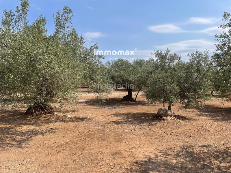 Foto 7ac2d00a-1516-4c46-acd4-b9a511fde8d4. Finca rústica a Aldover