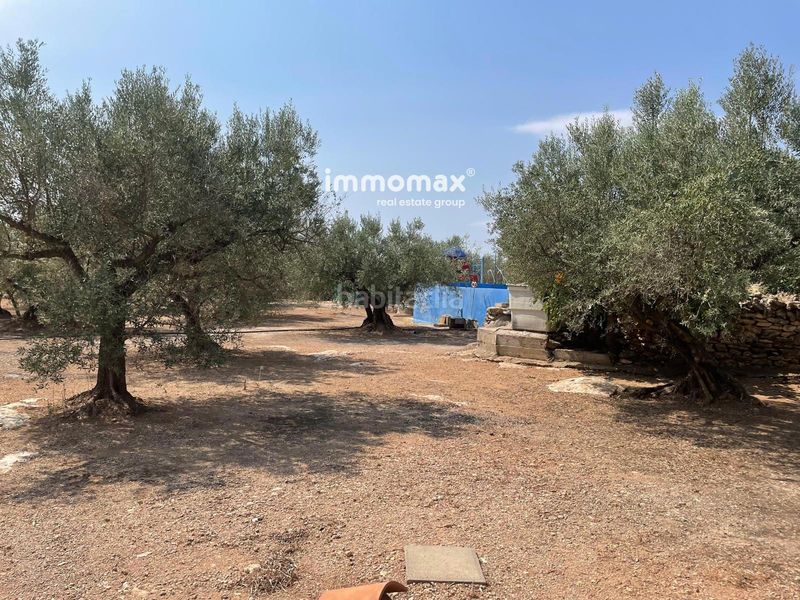 Foto b945700f-1ce1-443b-ad77-c248abbac3d5. Finca rústica a Aldover