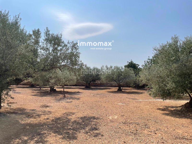 Foto bc0ec713-4ebd-4a54-bc50-88d936b8af69. Finca rústica a Aldover
