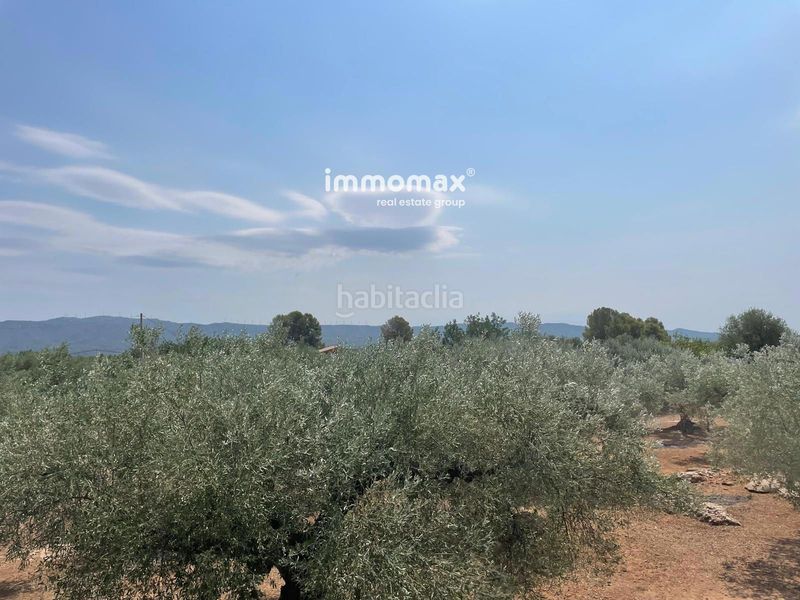 Foto d0a6809c-cfea-4ca2-bfdf-a23b252f26f8. Finca rústica a Aldover