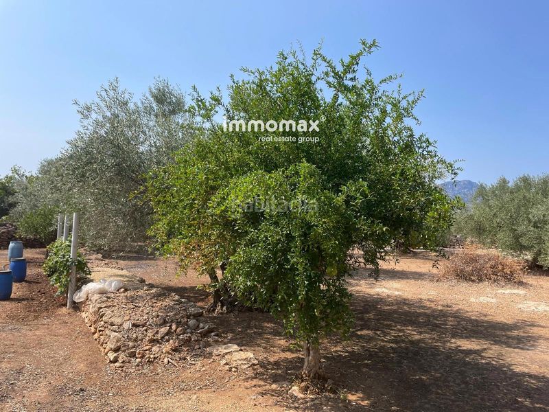Foto d1708288-22f7-47c3-9240-969fa3e321b6. Finca rústica a Aldover