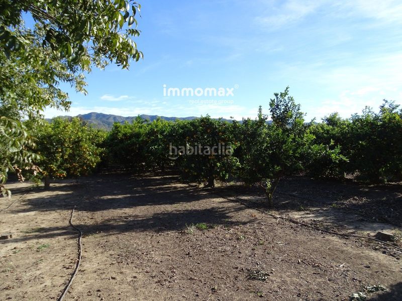Foto 0002110e-6bac-49bd-adc0-7cf1c6620e26. Finca rústica a Bítem Tortosa
