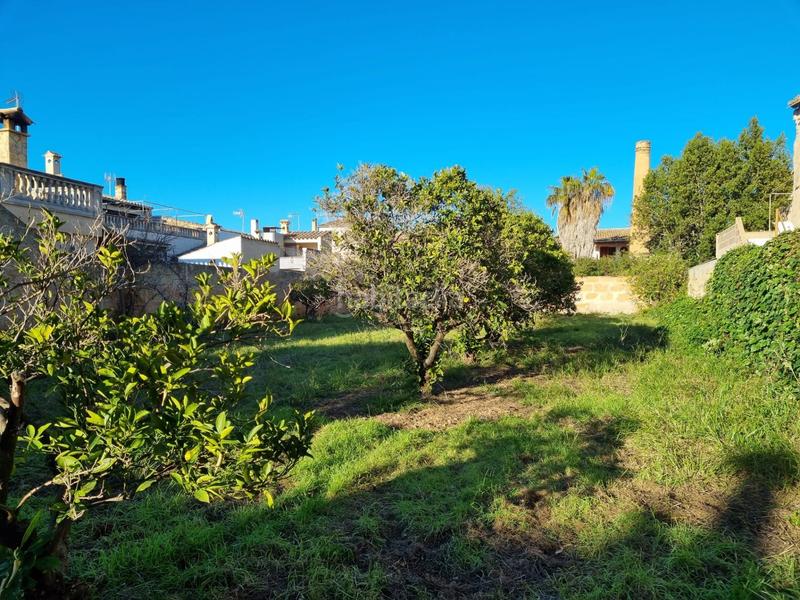 Foto 4cdc9ef4-4749-49ae-9139-0a79f9a12733. Residential plot in Llucmajor interior Llucmajor