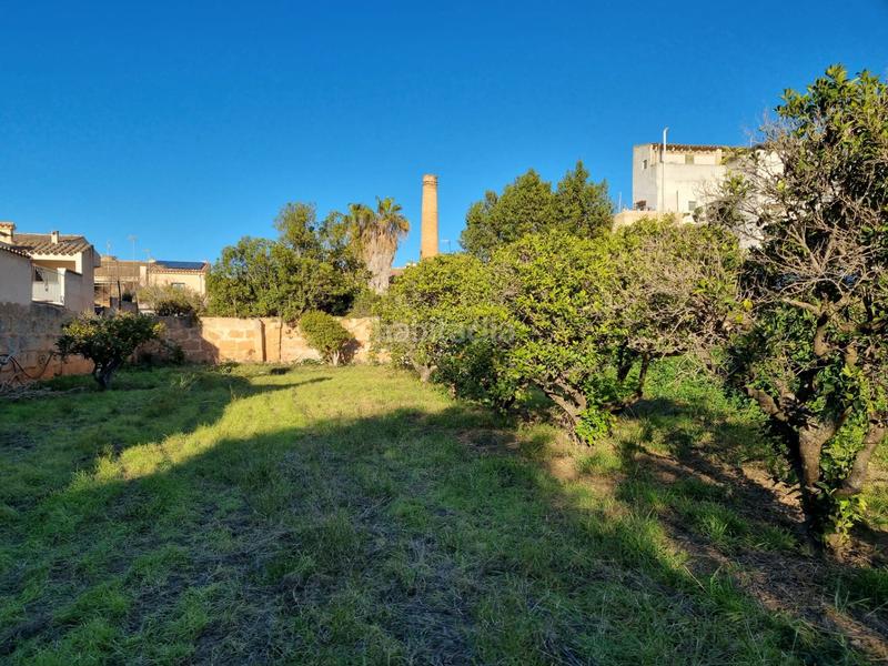 Foto 58d26720-5e68-4fb0-959f-6501f89c8396. Residential plot in Llucmajor interior Llucmajor