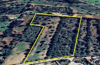 Rural plot  Porreres. Finca ubicado ente llucmajor y porreres
