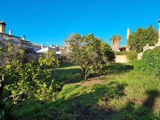 Semi detached house in Llucmajor Interior. Llucmajor  solar unico para su vivienda uni o pluri famliar  has
