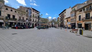 Terreny residencial a Llucmajor Interior