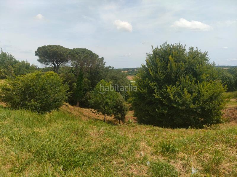 Foto 338fa8e2-f062-4eba-89ab-446a1b86cc06. Terreny residencial a Sils