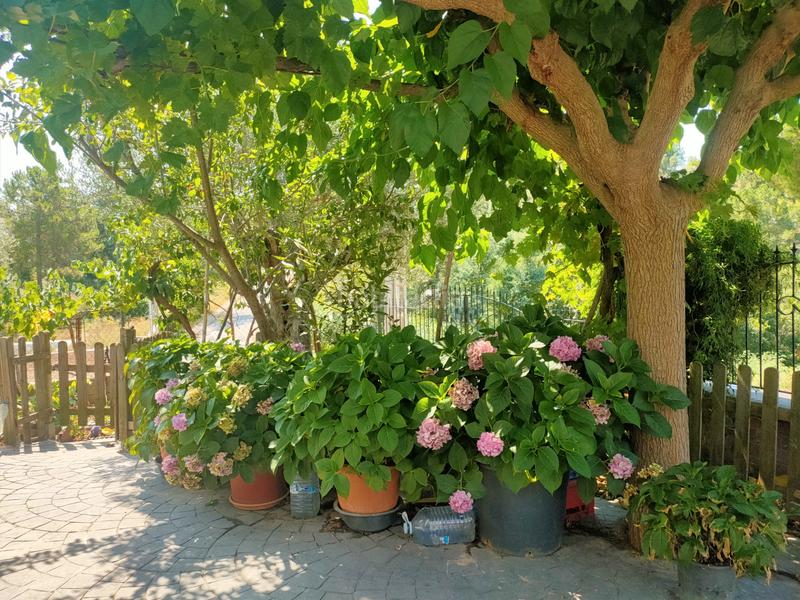 Foto 7060c628-6bec-4119-abc4-f44a0e248677. Casa  unifamiliar en urb. can fornaca de riuedarenes en Riudarenes