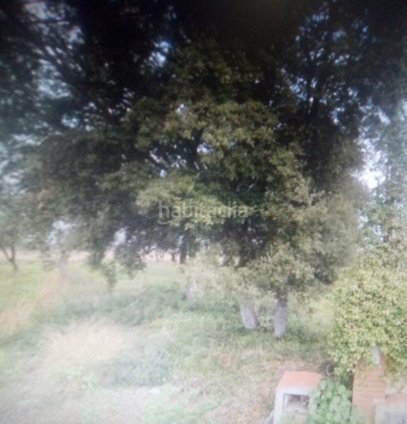 Foto 458f839c-327d-45ad-96cc-aa5d2d1ce199. Terreny residencial a carrer riu segre 35 a Residencial Park Maçanet de la Selva