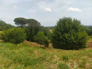 Wohngrundstück in Avinguda barceloneta 52. Parcela de 800 m2 en el centro de sils