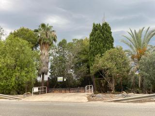 Finca rústica a Dolores. Casa rustica