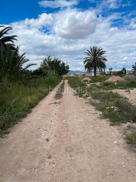 Foto 59d86237-c397-423f-bfec-731a5ac4336b. Rural plot in Catral