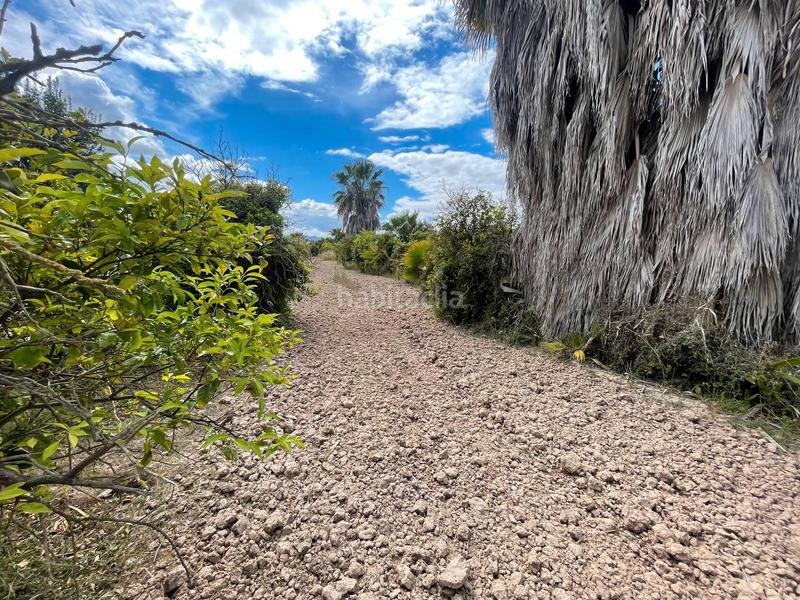 Foto 5d615b1b-4e29-4ccc-b41a-e10f15d83bfe. Rural plot in Catral