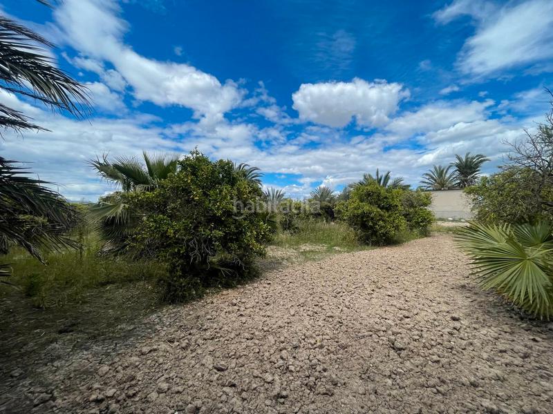 Foto c28ed750-7029-4f59-baea-5d4b1e682b18. Rural plot in Catral