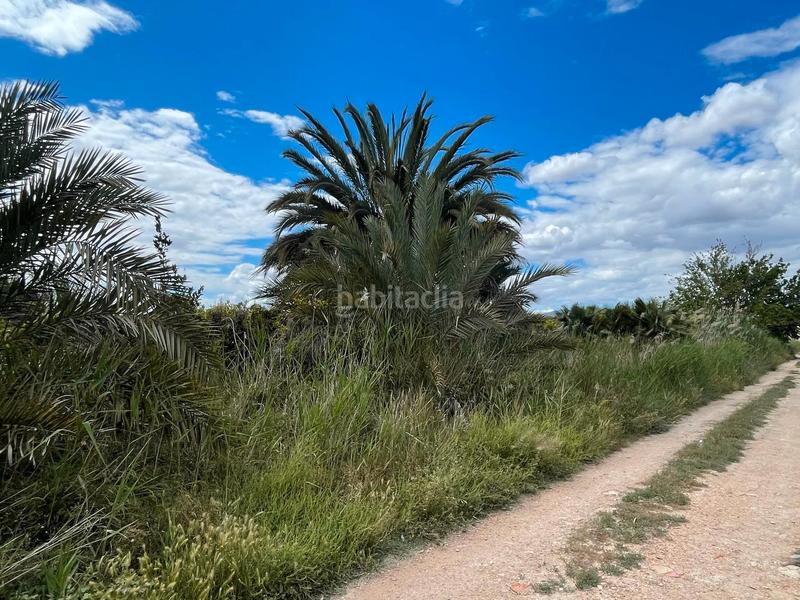 Foto c8cf3f3e-7474-48c8-81dc-9a3986dfc6ca. Rural plot in Catral