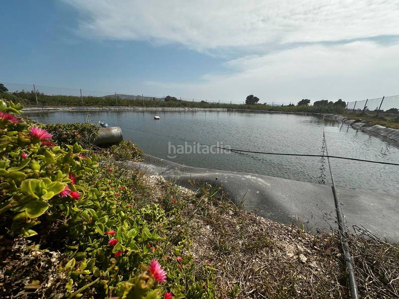 Foto 22dd9936-8d65-41f9-bb28-f458307ee6b3. Rural plot in partida fogaria 19 in Almoradí