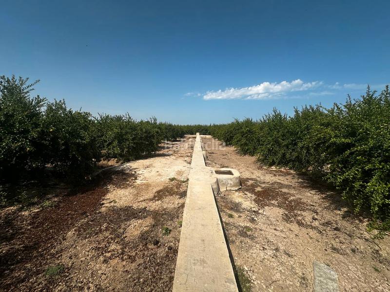 Foto 58e5a391-04d2-4398-b687-232c827d4295. Rural plot in partida fogaria 19 in Almoradí