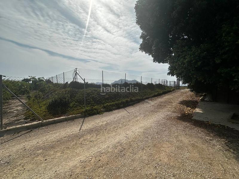 Foto 7c1ce78a-a7e0-411b-826f-b8de9f6a8a81. Rural plot in partida fogaria 19 in Almoradí