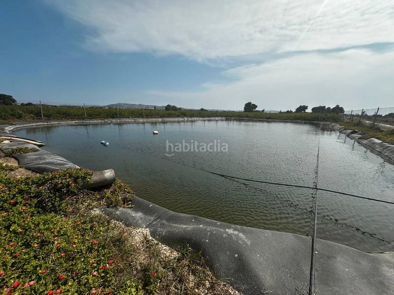 Foto c1b1505e-8dcf-4ccf-987a-3e4e981df224. Rural plot in partida fogaria 19 in Almoradí