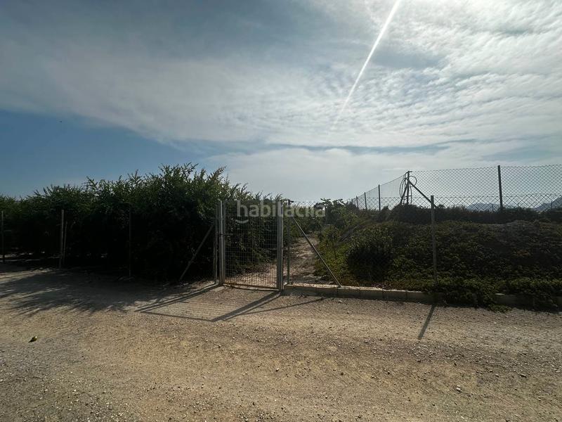 Foto c74b2ded-7835-4c1d-908d-58beebdabf8a. Rural plot in partida fogaria 19 in Almoradí