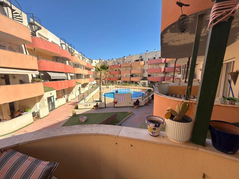 Foto 266b4453-bc57-45b6-a315-93c6d8af1296. Apartament amb calefacció piscina a Almoradí