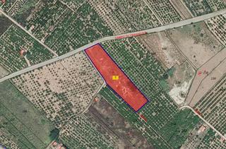 Rural plot in Llombai