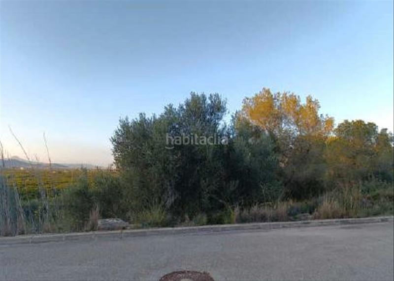 Foto 030c26ca-b595-427c-a214-5f3b79c587f7. Terreny residencial a carrer lluent 4 a Oliva pueblo Oliva
