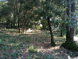 Terrain résidentiel à Carrer de la morera 2. Terreno en  sant pere vilamajor