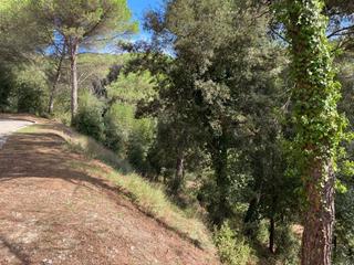Terrain résidentiel à Carrer d'olzinelles 10. Terreno en st. pere de vilamajor