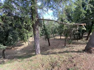 Wohngrundstück in Calle su-, el 1. A pocos minutos del pueblo