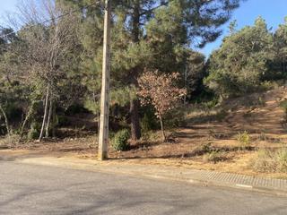 Residential Plot in Calle pollancre 38