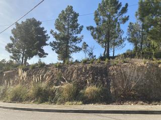 Terreny residencial a Carrer lliris 8