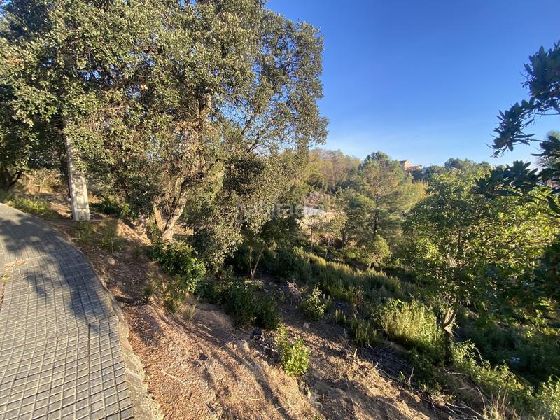 Foto 29b995c9-89c0-48e8-a0aa-8d528b5da860. Terreno residencial en carrer pi 7 en Riudarenes