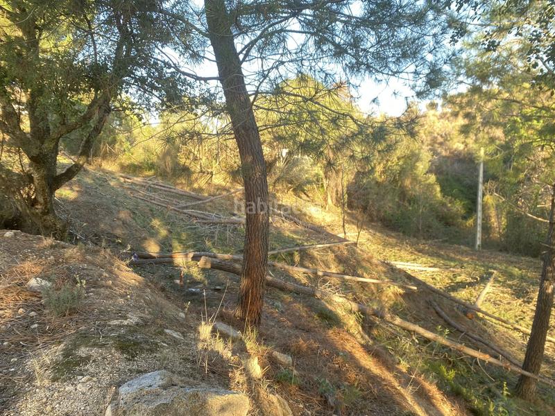 Foto 428936a7-fe2b-4365-a459-052bb0212933. Terreno residencial en carrer pi 7 en Riudarenes